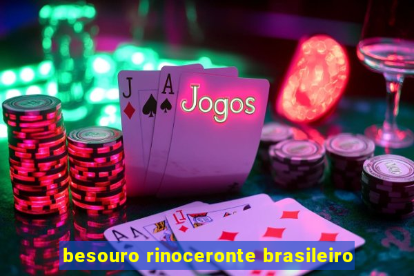 besouro rinoceronte brasileiro